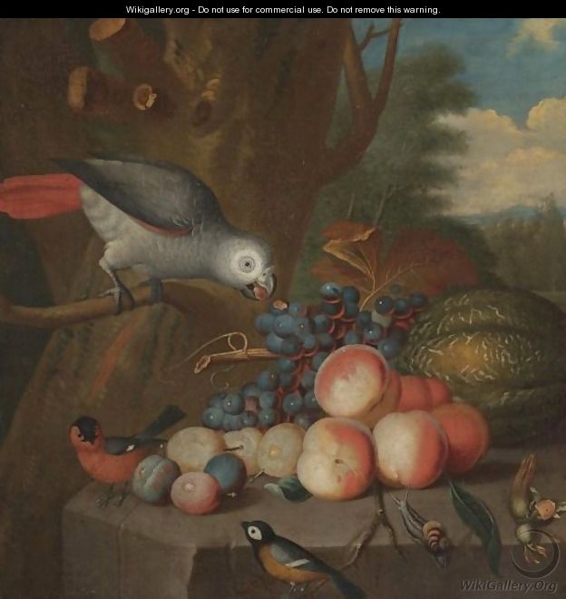 A Still Life With A Parrot And Other Birds, Grapes, Plums, A Watermelon, Peaches And A Snail On A Stone Ledge - (after) Jacob Bogdani