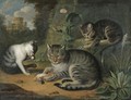 A Still Life With A Cat And Two Kittens In A Landscape - (after) Jacob Samuel Beck