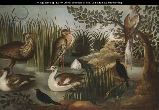A Bittern, A Heron, Four Muscovy Ducks, Two Blackbirds And A Hawk Amongst Reeds - German School