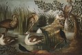 A Bittern, A Heron, Four Muscovy Ducks, Two Blackbirds And A Hawk Amongst Reeds - German School