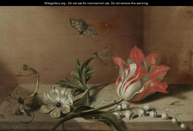 A Still Life With A Tulip, Anemones, Lily-Of-The-Valley, A Caterpillar, A Butterfly And Other Insects On A Wooden Ledge - Jacob Marrel