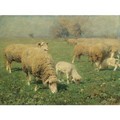 Schafherde Auf Der Weide (Sheep In A Meadow) - Heinrich Von Zugel