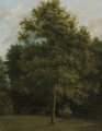 Study Of A Tree - (after) Jules Louis Phillipe Coignet