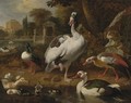 A Shoveler, A Grey And White Crested Goose, An Egyptian Goose, A Muscovy Duck And Other Waterfowl In A Park - Melchoir D'Hondecoeter