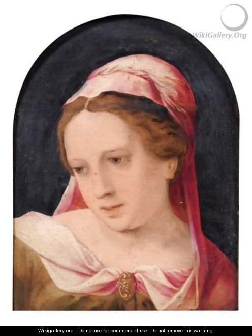 Young Woman Wearing A Pink Shaw - (after) Jan Sanders Van Hemessen