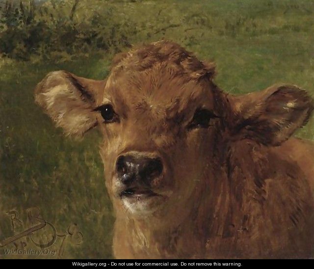 Head Of A Calf - Rosa Bonheur
