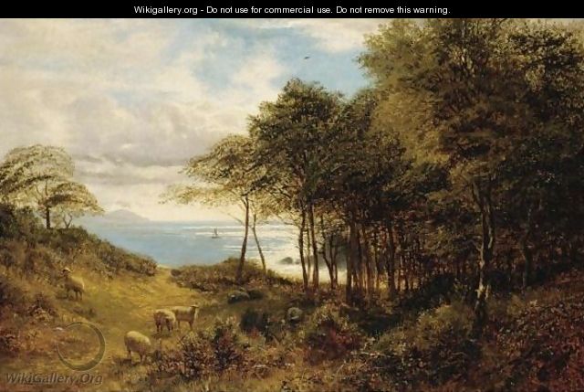 Sheep Grazing By The Sea - Alfred Glendening