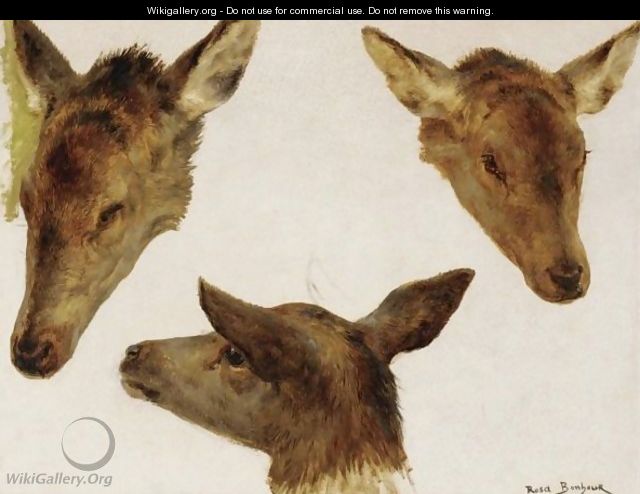 Study Of Deer Heads - Rosa Bonheur