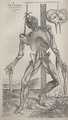 Dissected human body 1543 - Andreas Vesalius