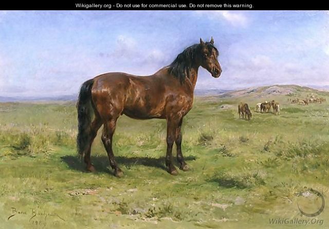 Wild Horses 1889 - Rosa Bonheur