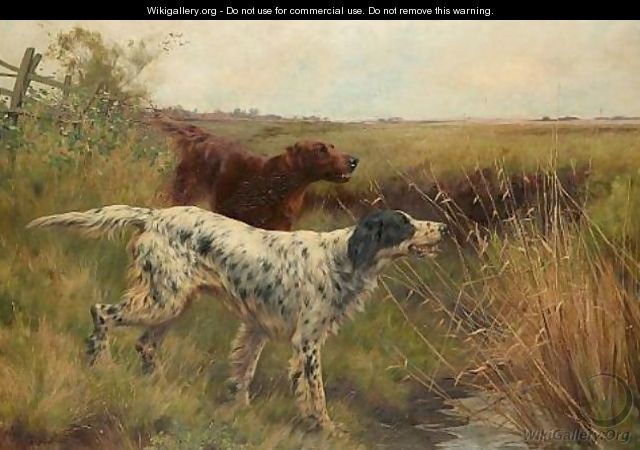 An English setter and an Irish setter in a landscape 1901 - Thomas Blinks