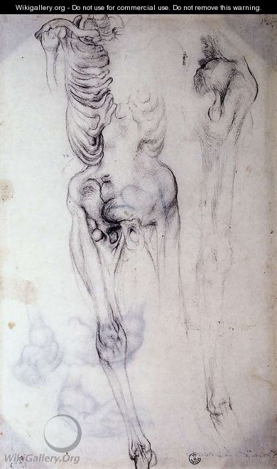 Anatomical - (Jacopo Carucci) Pontormo