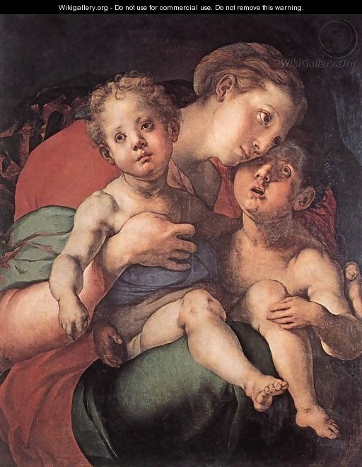 Madonna and Child with the Young St John c. 1528 - (Jacopo Carucci) Pontormo