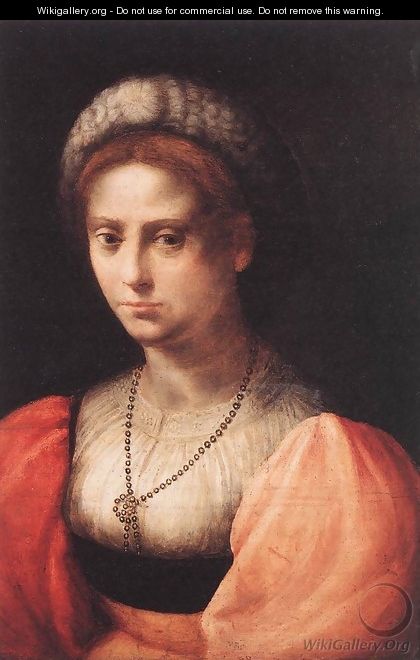 Portrait of a Lady - Domenico Puligo