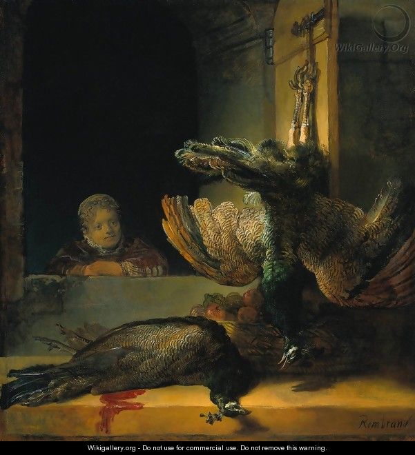 Dead peacocks - Rembrandt Van Rijn