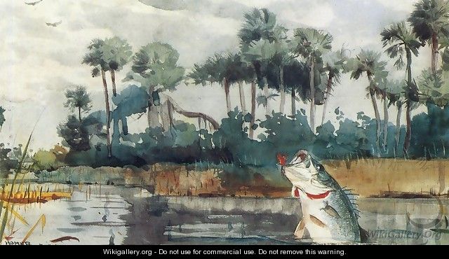 Black Bass, Florida - Winslow Homer