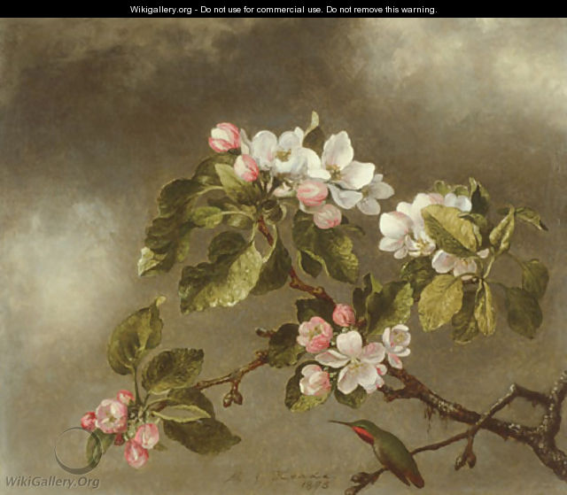 Hummingbird and Apple Blossoms - Martin Johnson Heade