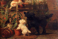 In The Greenhouse - Henriette Ronner-Knip