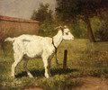 A Goat In A Meadow - Henriette Ronner-Knip