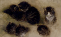 Studies Of Kittens - Henriette Ronner-Knip
