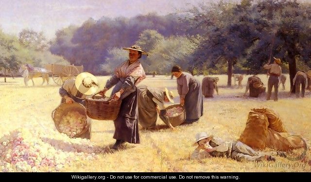 La Vendange De Pommes (The Apple Harvest) - Istres Contencin