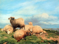 Landscape with Sheep - Thomas Sidney Cooper