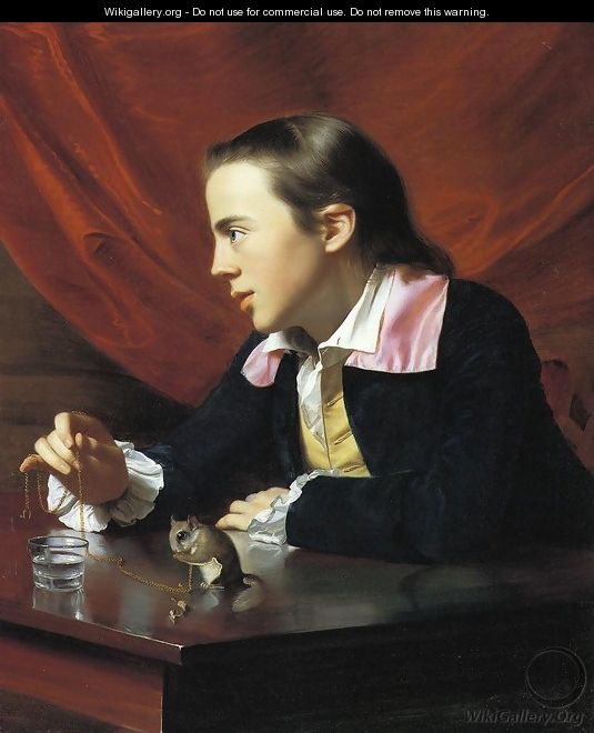 Boy with a Squirrel (or Henry Pelham) - John Singleton Copley