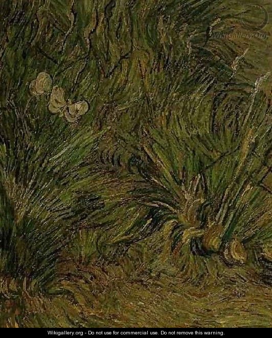 Two White Butterflies - Vincent Van Gogh