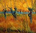 Willows At Sunset - Vincent Van Gogh