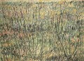 Pasture In Bloom - Vincent Van Gogh