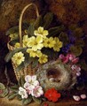 Still Life with Primroses, Violas, cherry Blossom and Geraniums and a Thrush's Nest - George Clare
