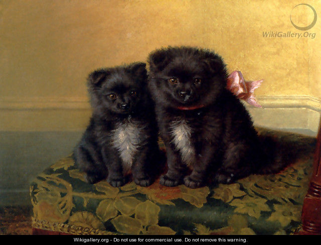 Two Chow Pups Seated On A Chair In An Interior - Horatio Henry Couldery
