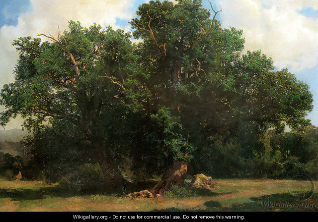 Oak Trees - Johannes Bosboom