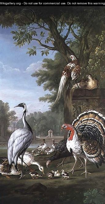 Group of Exotic Birds - Pieter Casteels