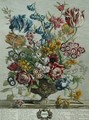 April, from 'Twelve Months of Flowers', by Robert Furber (c.1674-1756) - Pieter Casteels