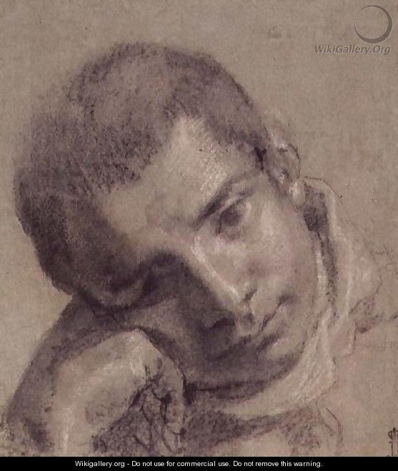 Head of a Youth - Annibale Carracci