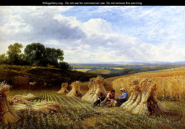 Harvest Field - George Cole, Snr.