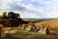 Harvest Field - George Cole, Snr.
