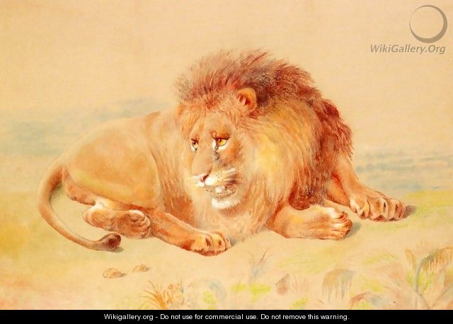 Lion - William Huggins