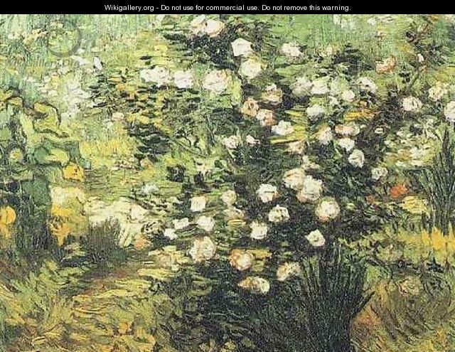 Rosebush In Blossom - Vincent Van Gogh