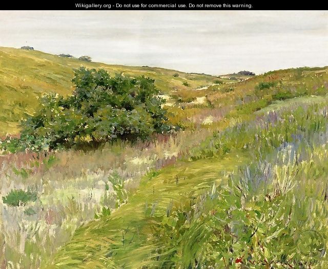 Landscape Shinnecock Hills - William Merritt Chase