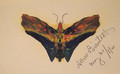 Butterfly (second Version) - Albert Bierstadt