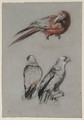 Three Parrots - Richard Parkes Bonington