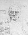 Study On The Proportions Of Head And Eyes - Leonardo Da Vinci