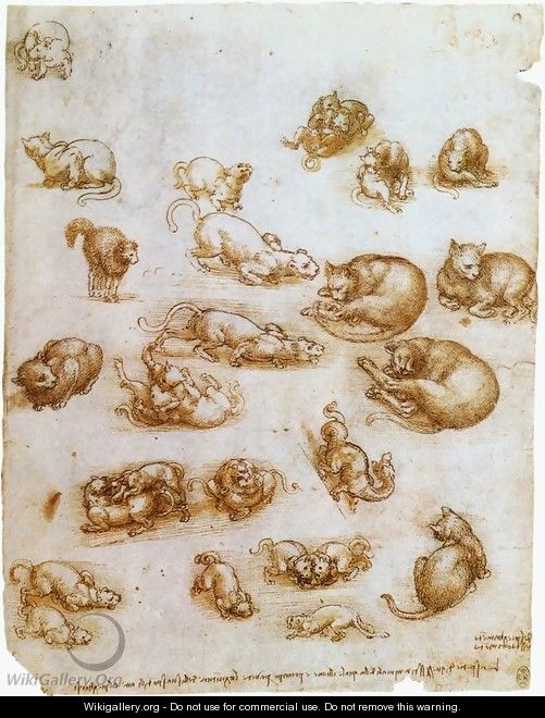 Study Sheet With Cats Dragon And Other Animals - Leonardo Da Vinci