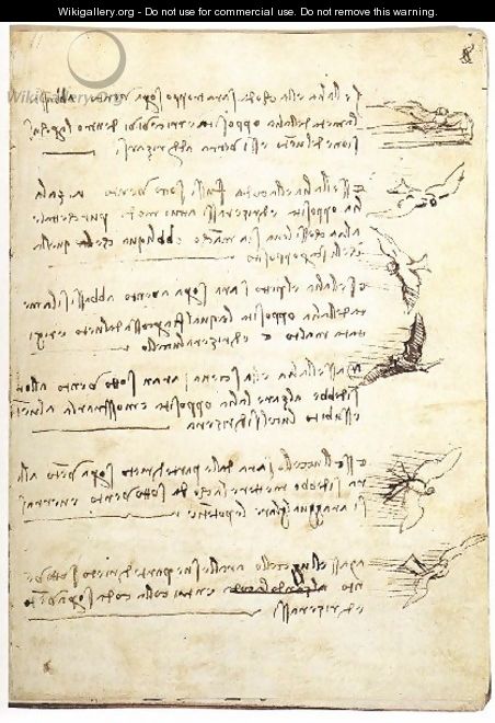 Codex On The Flight Of Birds - Leonardo Da Vinci