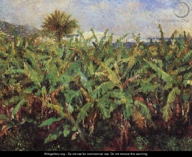 Field Of Banana Trees - Pierre Auguste Renoir