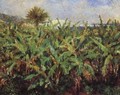 Field Of Banana Trees - Pierre Auguste Renoir