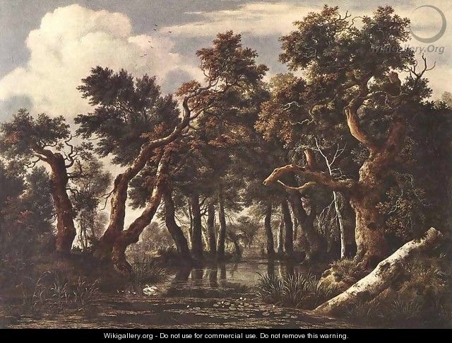 The Marsh in a Forest c. 1665 - Jacob Van Ruisdael