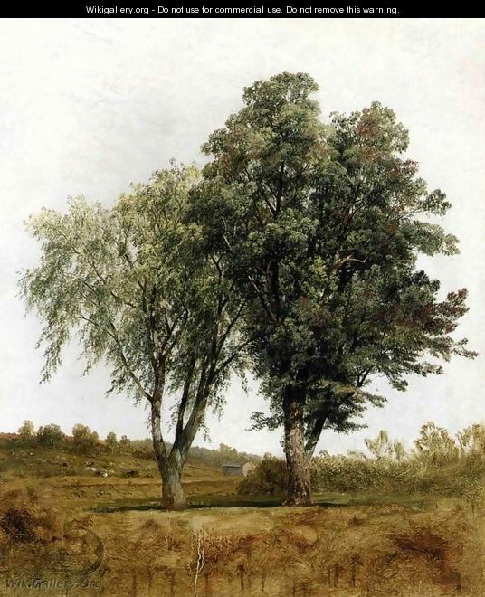 A Study Of Trees - John Frederick Kensett